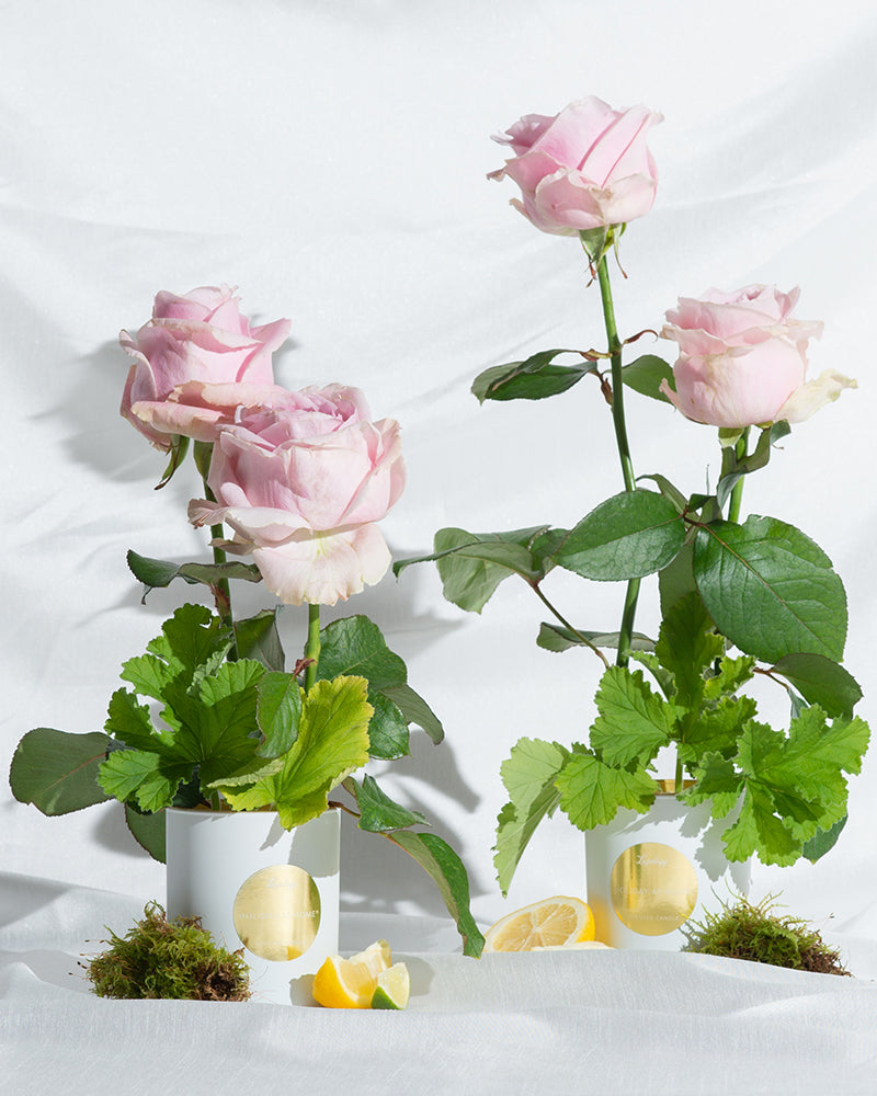 Holiday-At-Home Scented Candle