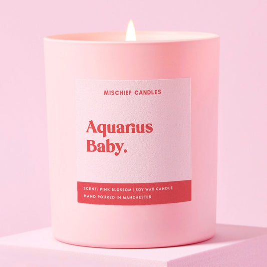 Aquarius Birthday Gift Funny Zodiac Candle Aquarius Baby