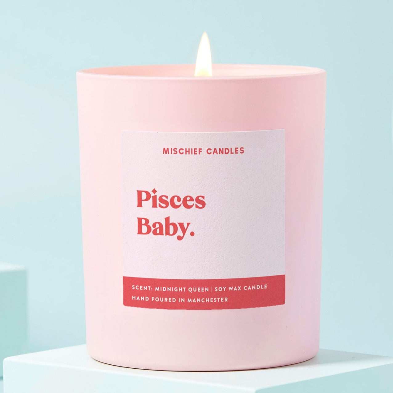 Pisces Birthday Gift Funny Zodiac Birthday Candle Pisces Baby
