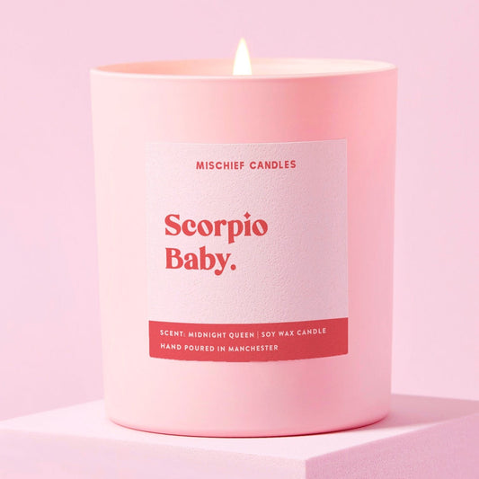 Scorpio Birthday Gift Funny Zodiac Candle Scorpio Baby