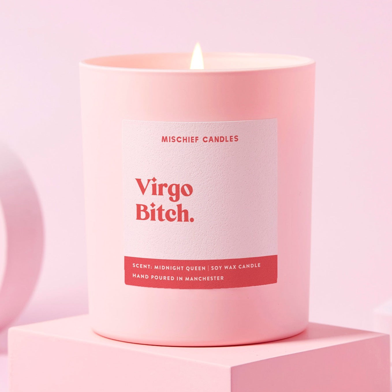 Virgo Birthday Gift Funny Zodiac Birthday Candle Virgo Bitch