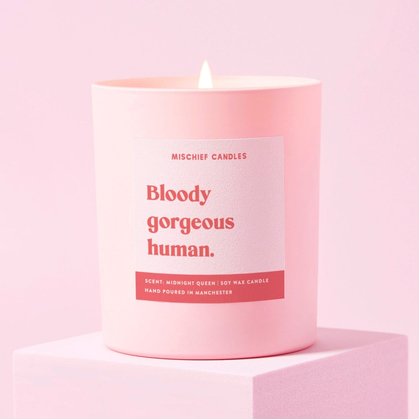 Friendship Gift Funny Gift For Her Candle Bloody Gorgeous Human