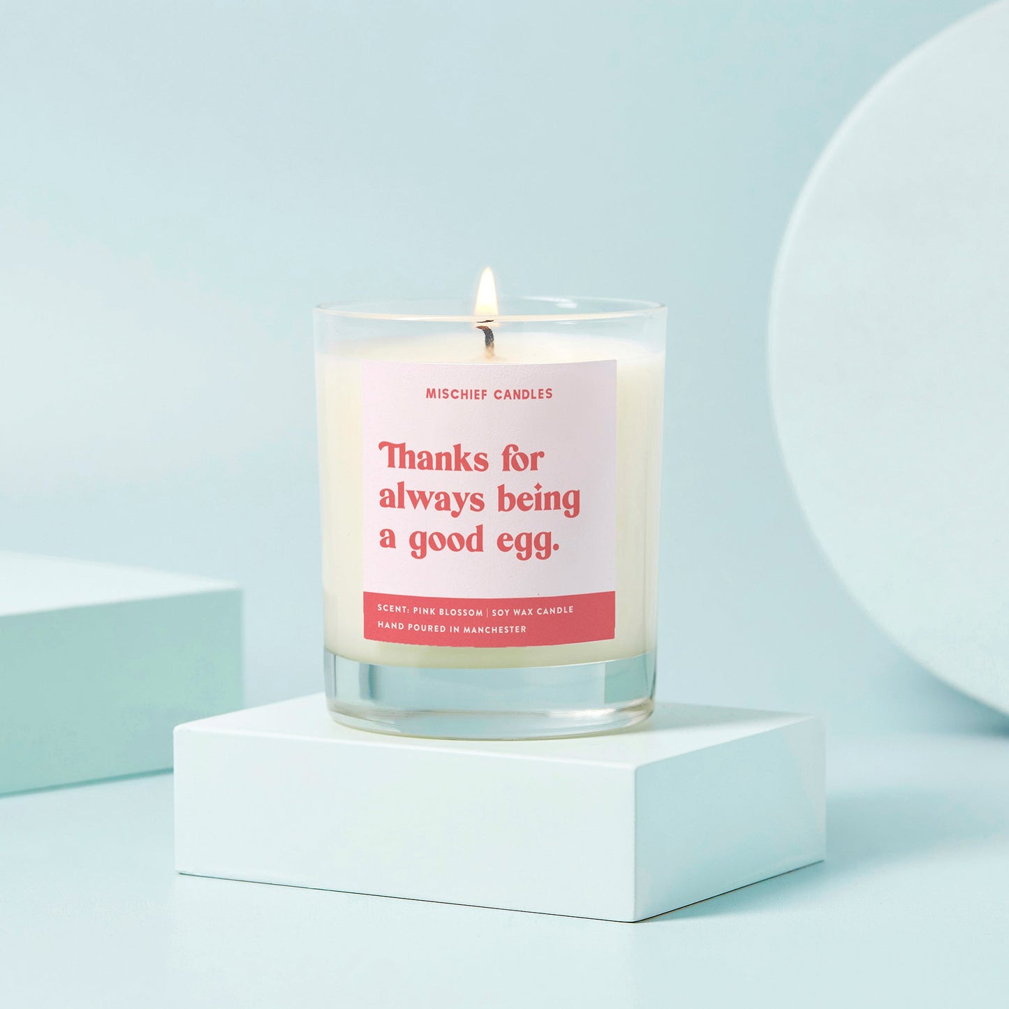 Thank You Gift Funny Soy Wax Candle Good Egg