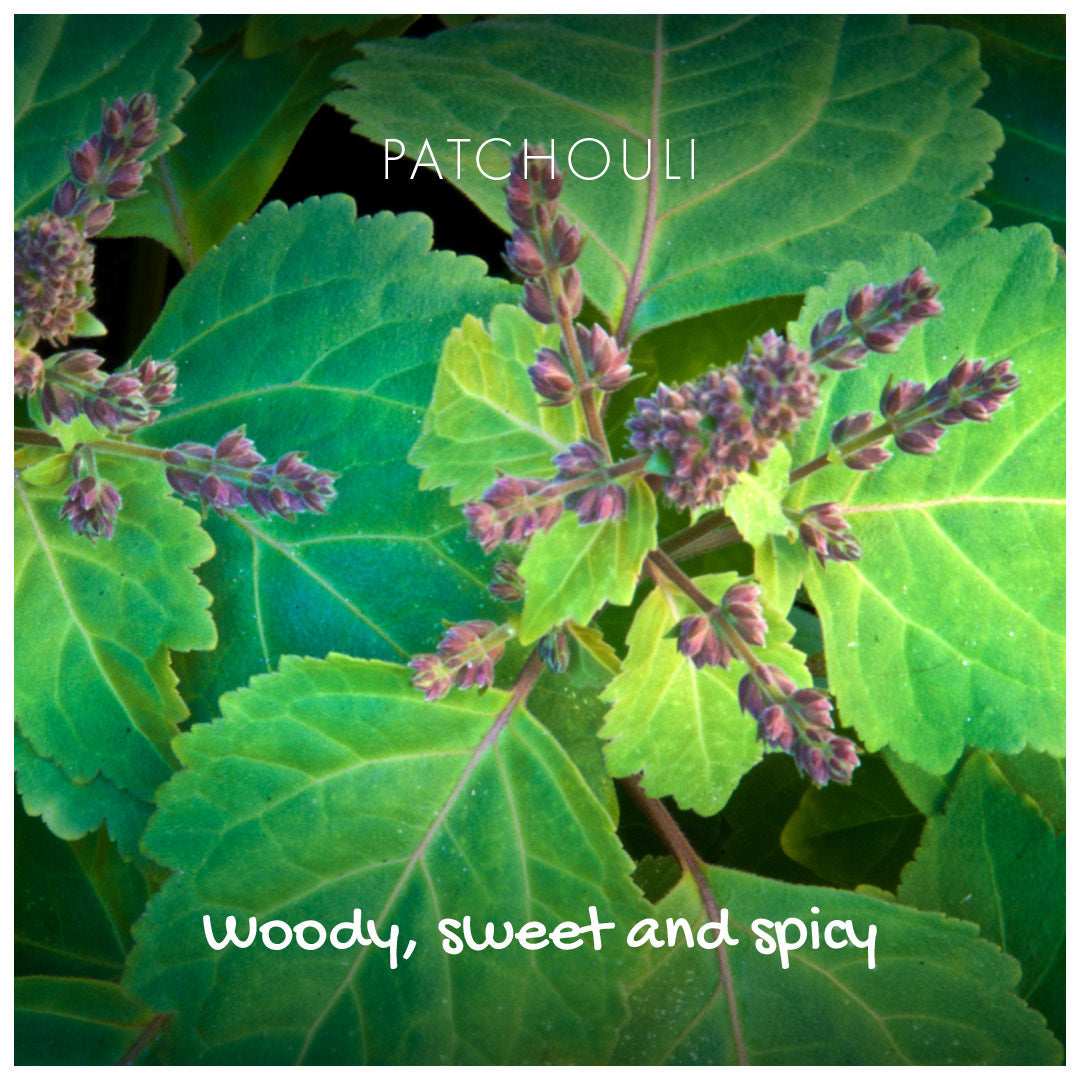 Natural Soap On A Rope - 'Woody' Patchouli & Sandalwood 125g