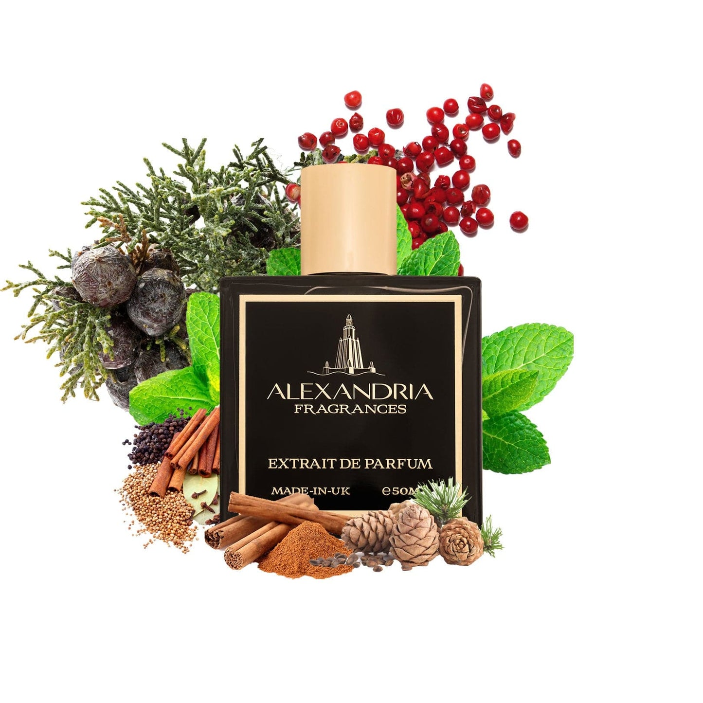 Italian Forest Inspired ByTom Ford's Italian Cypress | Dupe | Clone | Alternative | Luxury | Quality | Copy Extrait de Parfum