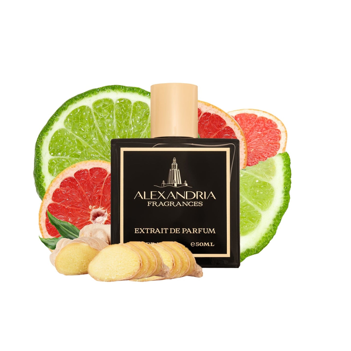 Orchestra Inspired By Symphony LV | Dupe | Clone | Alternative | Luxury | Quality | Copy Extrait de Parfum