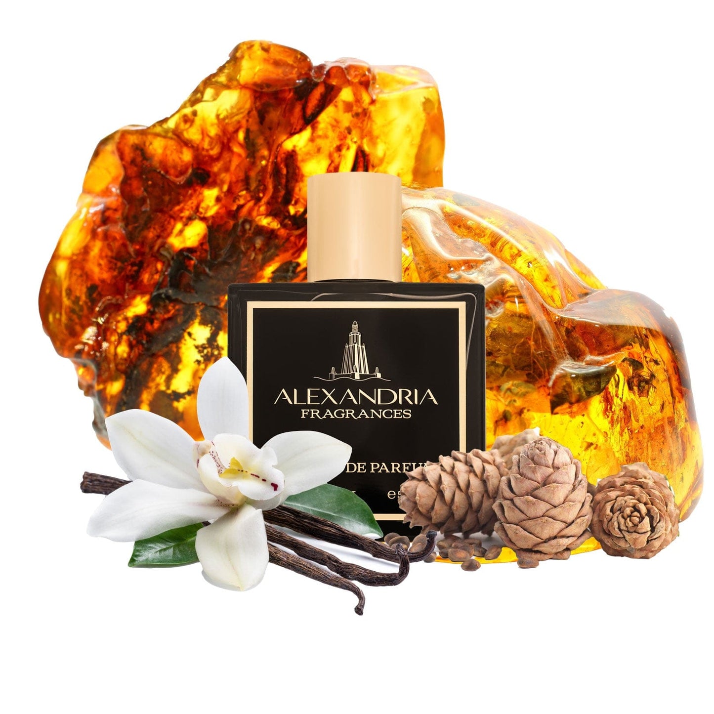Solaris Inspired By Xerjoff Amber Star  | Dupe | Clone | Alternative | Luxury | Quality | Copy Extrait de Parfum