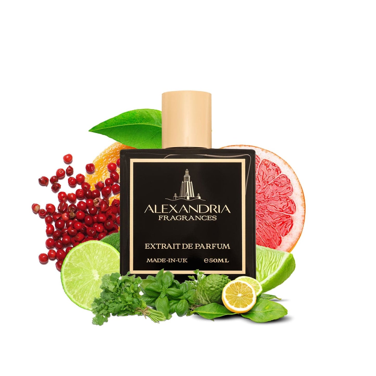 Mediterranean Coast | Dupe | Clone | Alternative | Luxury | Quality | Copy Extrait de Parfum